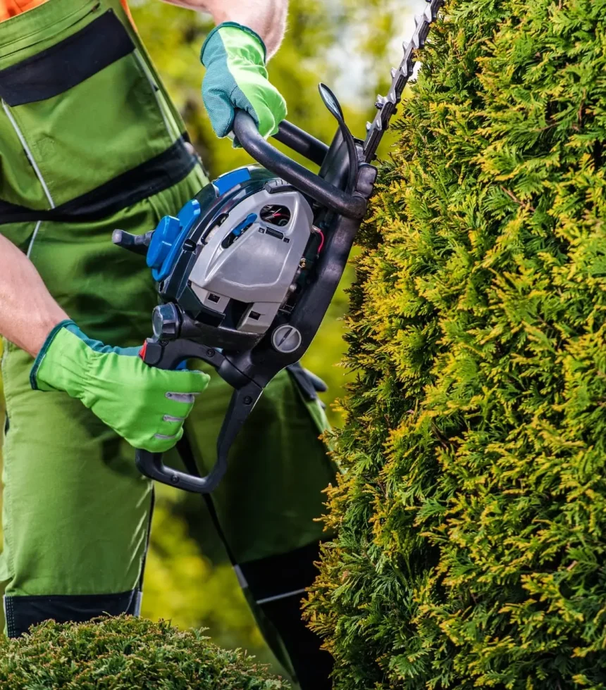 jardinesnopal-gardener-topiary-job-min